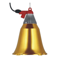 Lampe chauffante infrarouge 175W 250W pour élevage de volailles, poulets, porcelets, ampoule chauffante pour animaux, douille E27
