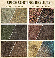Machine de tri des couleurs multi-épices |   Équipement de tri du cumin, de l'anis étoilé et de la cannelle pour les importateurs du Moyen-Orient en gros