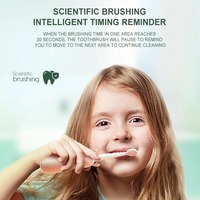 Gran oferta de cepillo de dientes eléctrico para niños IPX7 impermeable USB recargable cepillo de dientes sónico de dibujos animados para niños/bebé con temporizador inteligente