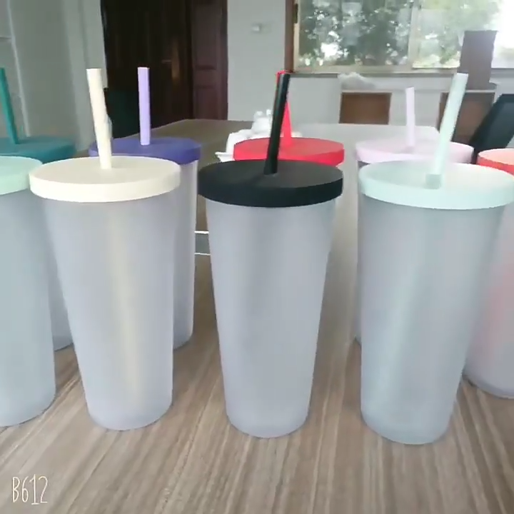 Bulk Wholesale 24 oz Frosted Plastic Tumblers Colorful Iced Coffee Cup  Travel Mug Cold Drink Cups for Parties Birthdays