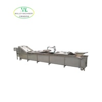 RVS 220V 500kg voedselverwerkingsmachine met motor 3.0KW vermogen voor groente- en fruitfabriek, 2 jaar garantie