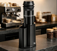 Moulin à café électrique portable en acier inoxydable pour camping, réglage de mouture ajustable, meule conique, capacité 25g, mini-machine