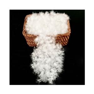 Duvet de canard blanc pur 90 % lavé à haute capacité de rembourrage, 10 plumes, norme EN Classe 1 - Product Image 1