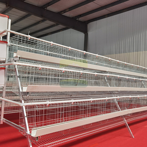 Cage à poulets de type A en acier Q235 galvanisé à chaud à 3 niveaux et 5 portes avec abreuvoirs, longue durée de vie <span class=keywords><strong>pour</strong></span> élevages avicoles - Product Image 3