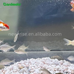 Pierres <span class=keywords><strong>de</strong></span> rivière décoratives GARDMATE blanches comme <span class=keywords><strong>neige</strong></span> 0,6-1 cm 1,8 kg modernes et imperméables pour aquarium, réservoir <span class=keywords><strong>de</strong></span> poissons, plantes en pot, décoration <span class=keywords><strong>de</strong></span> jardin - Product Image 4