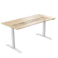 Design bianco di lusso ceo lavoro tavolo da riunione capo ufficio elettrico altezza regolabile scrivania doppio motore pc gioco computer tavolo
