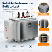 Transformador de Distribución Sumergido en Aceite de 10kV 80kVA de Bajo Ruido y Sellado Herméticamente para Uso Industrial, Ahorro de Energía