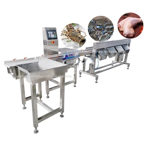 Machine de tri et de calibrage automatique à convoyeur pour poissons, huîtres, poulets et fruits, en acier inoxydable 304 étanche, pour ligne de transformation de poisson - Product Image 1
