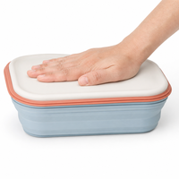 Bols pliables en silicone de qualité alimentaire - Design contemporain, compatibles lave-vaisselle, non toxiques, portables pour la rentrée scolaire et les fêtes