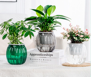 Clair rond <span class=keywords><strong>paresseux</strong></span> bureau mignon jardin jardinières en plastique bonsaï Pot fleur plantes d'intérieur automatique auto arrosage pots de plantes - Product Image 6