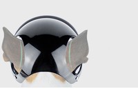 Casque pour animaux de compagnie nouveau chapeau chien chat moto accessoires de sécurité usine directement fournisseur
