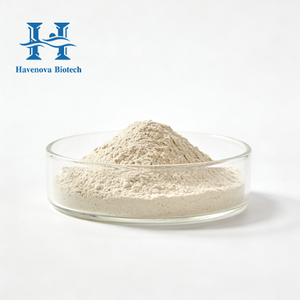 Toptan Fiyatlı Gıda Katkı Maddesi 2000PPM Selenyum Zenginleştirilmiş Maya Tozu Bağışıklığı Destekleyen Selenyum Zenginleştirilmiş Maya - Product Image 1