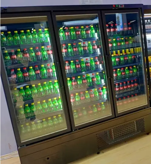 Produttore frigorifero commerciale doppia temperatura congelatore e refrigeratore cina acciaio inossidabile potenza stile ventilatore materiale Multi