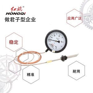 Termómetro de Contacto Eléctrico Hongqi WTZ-280 con Sonda de 500 mm de Acero Inoxidable y Alarma de Alta Temperatura - Product Image 3