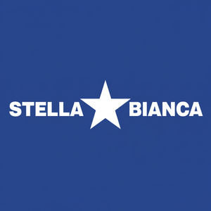 Albero di fissaggio esagonale a stella bianca per punte filettate M14 adattatore 073 pkt2p - Product Image 1