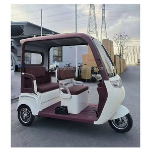 YINGWU 2025 Tricycle électrique adulte <span class=keywords><strong>3</strong></span> <span class=keywords><strong>roues</strong></span> E Bike Golf Cart avec moteur lisibilité et visibilité améliorées - Product Image 1