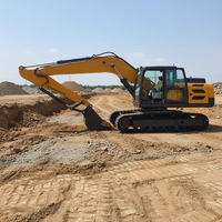 Excavatrice sur chenilles robuste de 23 tonnes à flèche longue, en promotion, pour travaux de terrassement et démolition, avec moteur et moteur PLC
