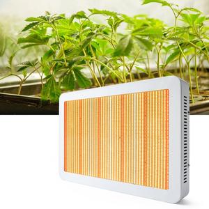 Lampe de culture LED à spectre étendu rouge et bleu 320W Super Lumens LM281B avec UV IR pour système de culture de plantes en intérieur - Product Image 3