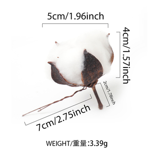 Hot Sale Natural <strong>Cotton</strong> Boll Stalk Single <strong>Stem</strong> Bulk Natural <strong>Cotton</strong> Branch Natural Dried Flowers for Home Decor - Product Image 2