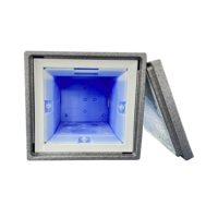 Panneaux d'isolation sous vide à température contrôlée pour aliments congelés, produits pharmaceutiques, boîte de chaîne du froid VIP pour l'exportation pharmaceutique