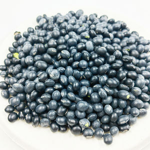 Venta directa <span class=keywords><strong>de</strong></span> fábrica Nueva cosecha Lenteja negra Frijol negro - Product Image 3