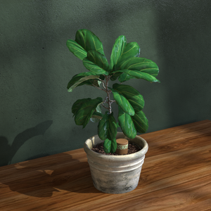 Décor de village personnalisé Olla Pot petit outil d'irrigation de jardin plante auto-<span class=keywords><strong>arrosage</strong></span> Pots en <span class=keywords><strong>terre</strong></span> <span class=keywords><strong>cuite</strong></span> argile Olla Pot à eau - Product Image 6