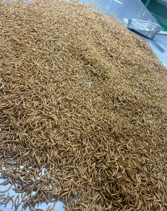 Alimentador congelado de gusanos de harina para mascotas, pájaros, peces, lagartos, arañas, comida, anfibios, cebo de pesca acuática - Product Image 4