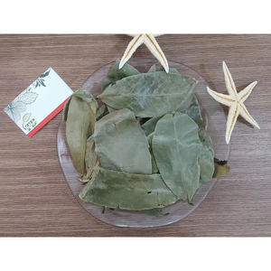 Hojas de guanábana secas. Lugar seco y fresco. Secas y limpias. Eco Green Vietnam. Hojas de guanábana 100% naturales. Ho Chi Minh Vietnam. - Product Image 6