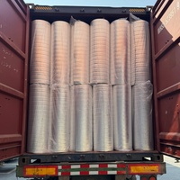 Rollo de Aislamiento de Espuma de Polietileno Reticulado, Lámina de Aluminio Resistente al Calor y a la Intemperie para el Revestimiento de Edificios