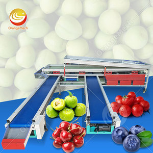 Machine de calibrage et de tri de fruits ORME pour agrumes, noix, avocats, avec fonctions de lavage et de cire - Product Image 1