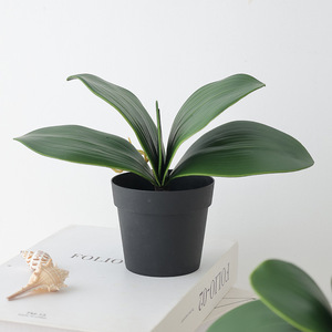 Arreglo Floral de Bonsái, Nueva Planta Verde de Simulación de Hojas de Phalaenopsis con Pegamento Suave de Alta Gama para Jardinería - Product Image 3