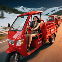 Tricycle électrique chinois 1000W, véhicule utilitaire à 3 roues, moteur en acier, carrosserie ouverte, 60V, 600kg, pour passagers, exporté par des exportateurs de tricycles