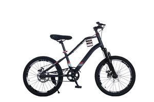Guns N' Roses Bicycle: Unique Ride Style