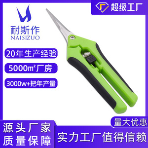 Nice Garden Shears 50Mm Blade Stainless Steel Straight Head <b>Pruning</b> <b>Tool</b> For Fruit <b>Trees</b> And Horticulture - Product Image 5