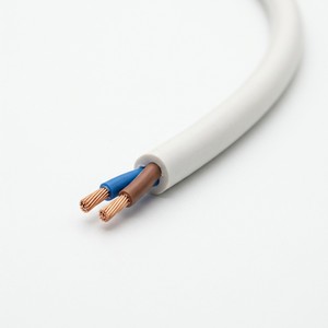 Câble de commande RVV à double conducteur 2 AWG en cuivre flexible avec gaine isolante en PVC 300V pour câblage d'équipements électriques CN - Product Image 3