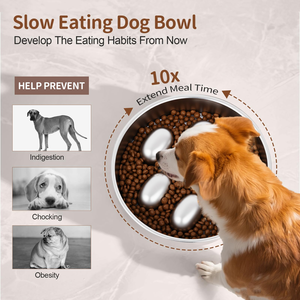 Portable Eco-Friendly Stylish Stainless Steel Dog Bowl Slow <b>Feeder</b> for Indoor/Outdoor Use Food & Water - Product Image 3