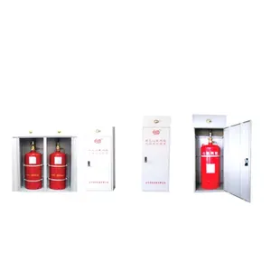 Professional Manufacturer Fm200 Fire Extinguisher Cabinet Types FM200 System