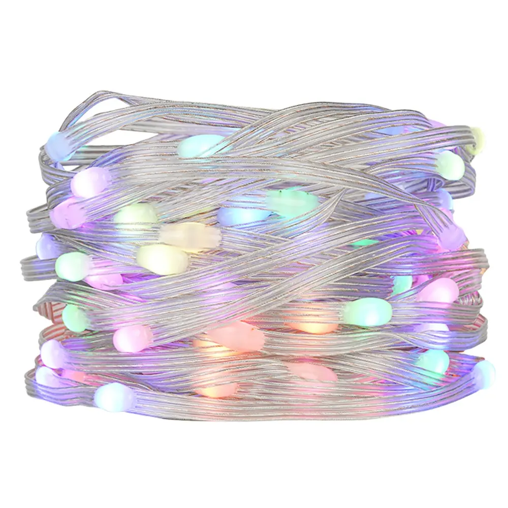 Dream Color Christmas Lights WS2812B RGB Led Pixel String Light 10leds/m 5m 10m Waterproof Addressable Led String DC5V