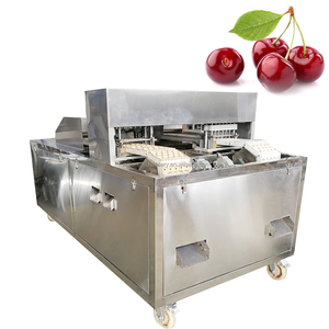 Machine à dénoyauter les cerises automatique commerciale, machine industrielle automatique de retrait des pépins, <span class=keywords><strong>dénoyauteur</strong></span> électrique <span class=keywords><strong>professionnel</strong></span> pour cerises - Product Image 6