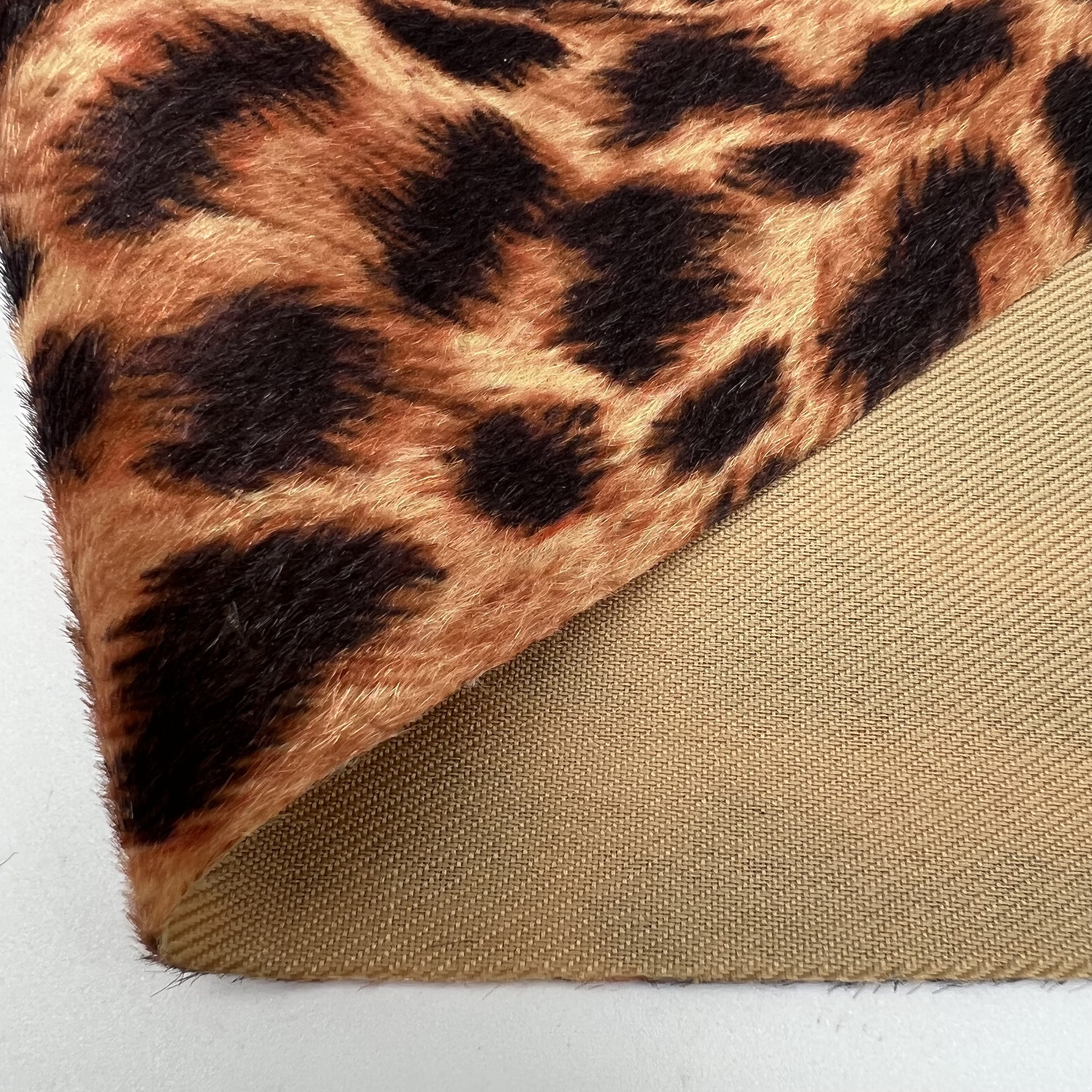 Leopard Camel