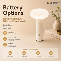 Lampe de table décorative sans fil rechargeable USB-C en PE coloré avec base en fer, 3 températures de couleur et gradation progressive pour chambre à coucher – Idée cadeau