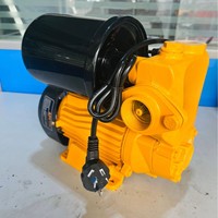 Pompe à eau auto-amorçante domestique à levage élevé 220V-pour l'extraction de l'eau de puits et le renforcement des canalisations d'eau du robinet
