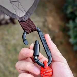 Stylish 8cm D-Shape Aluminum Metal Carabiner Promotional Keychains D-Shape Hook Durable Laser Engraving Sports Style Multi-Color
