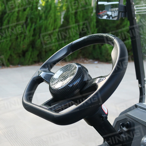 Carrito de <span class=keywords><strong>Golf</strong></span> Eléctrico Shininglsv en Venta, Carrito de <span class=keywords><strong>Golf</strong></span> Barato de 2 Plazas, Carrito de <span class=keywords><strong>Golf</strong></span> con Motor Inteligente - Product Image 6