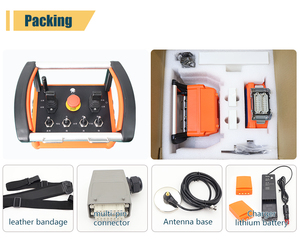 <span class=keywords><strong>Interruptor</strong></span> de Control Remoto Inalámbrico para Exteriores, Resistente al Agua, con Batería de Litio de 5000 mAh y Receptor de Conexión Multipin - Product Image 6