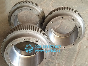 حلقة من الفولاذ المقاوم للصدأ 560/850 من Yulong/XGJ - Product Image 5