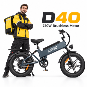 Bicicleta Eléctrica de Montaña D40, 750W, 48V40AH, Neumáticos Gruesos 20x4.0, Horquilla de Aluminio Resistente a la Corrosión, Fabricación OEM, Venta al Por Mayor - Product Image 1