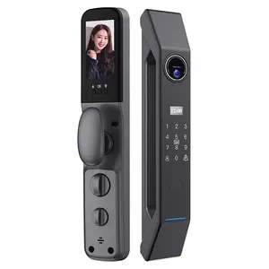 Smart Metal 3D Face Unlock Recognition Cerradura de puerta inteligente con WIFI Tuya App of Smart Window and Lock Alarm system