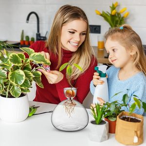 Jarrón grande y moderno con bombilla de cristal transparente para interiores, <span class=keywords><strong>maceta</strong></span> hidropónica para macetas para amantes de la jardinería, florero de semillas de bellota, <span class=keywords><strong>aguacate</strong></span> - Product Image 5