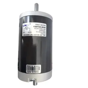 63ZY24-60-K Dc motor 60 W dual spindle plotter motor